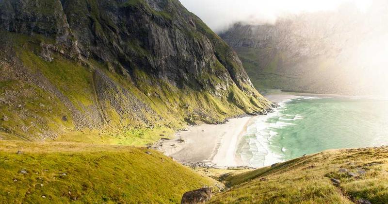 红桃免费H5版-免费高清影视短视频在线观看